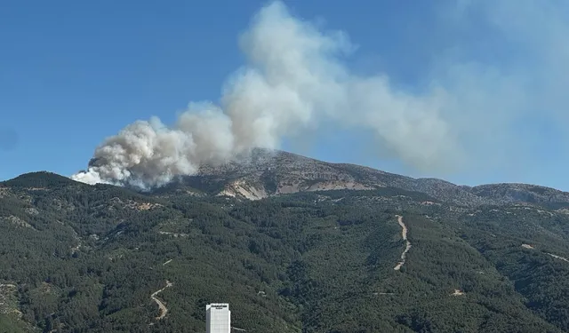 Manisa Spil Dağı'nda orman yangını: Piknikçinin mangalı neden olmuş!