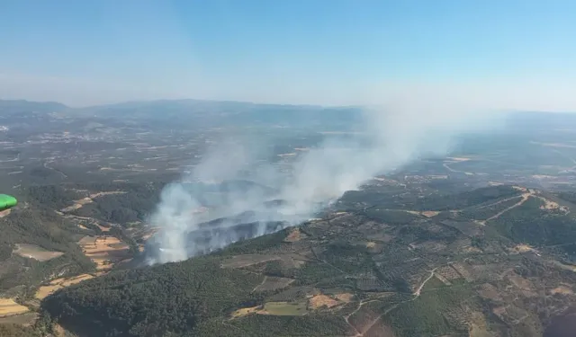 Müdahale gece boyu sürdü: Bergama'da çıkan yangın kontrol altında