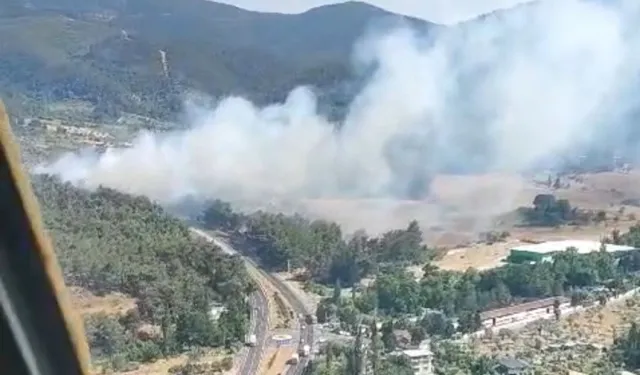 İzmir Kemalpaşa’da orman yangını