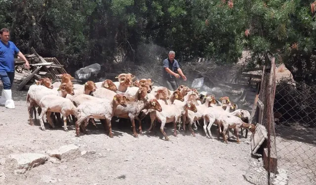 Protokol imzalandı: İzmirli üreticiye bir destek daha