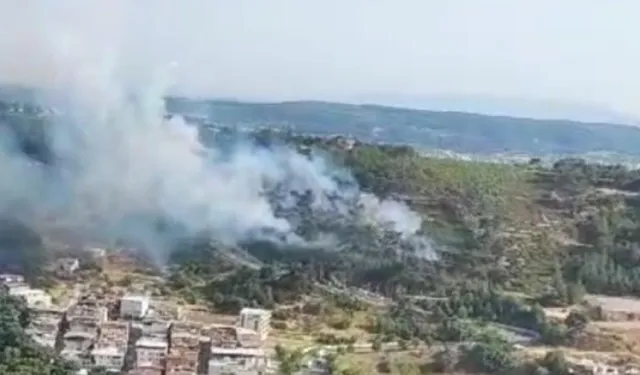 İzmir Bornova’da orman yangını: Şahin Tepesi alevlere teslim oldu