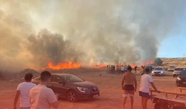 Seferihisar'ın Akarca sahilinde otluk alanda yangın çıktı