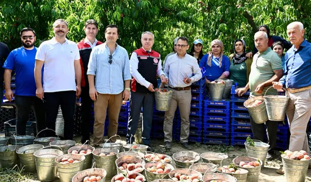 Şelçuk’ta coşkulu hasat: İzmir’in şeftalisi tüm dünyanın gözdesi