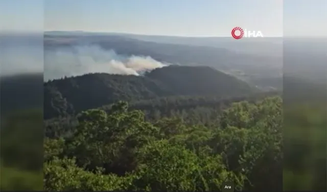 Balıkesir'de orman yangını: Çataldağ etekleri alevlere teslim
