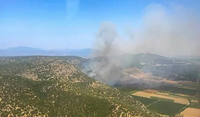 Bayındır ve Tire'de tarım arazileri yandı