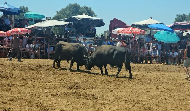 İzmir’de üçüncü kez gerçekleşti: Tire’de festival tadındaki etkinliğe ilgi büyük oldu