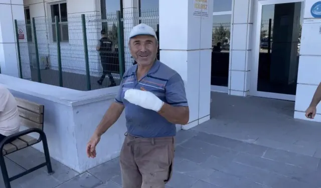 Türkiye'de sıradan bir bayram: Kurban yerine elini kesti
