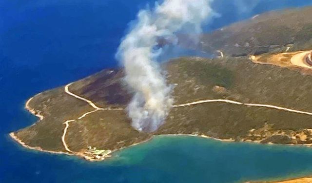 İzmir Urla'da orman yangını