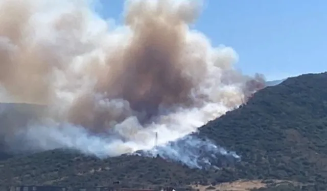 Urla'da Mimarlık Fakültesi yakınındaki orman yangını söndürüldü