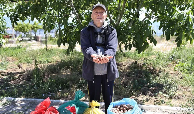 Ürününü satamayan çiftçinin yardımına Bornova Belediyesi koştu