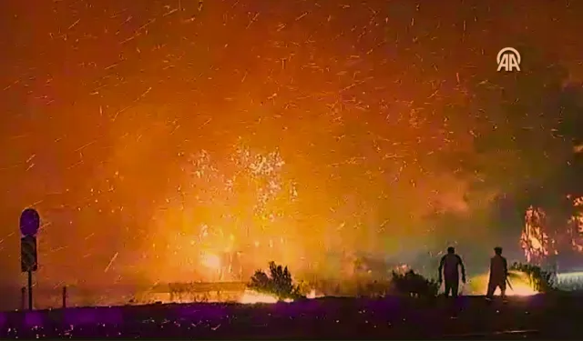 İzmir Selçuk'taki yangına müdahale gece karanlığında sürüyor