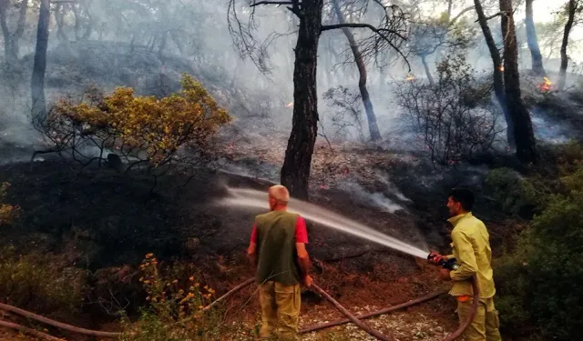 Yaz aylarının kabusundan İzmir de muzdarip: 3 günde 155 yangın çıktı