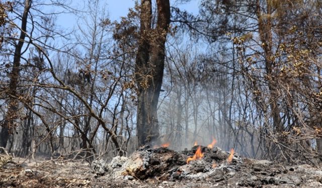 22 Saatlik amansız mücadele: İzmir'deki ormanlardan yürek yakan görüntüler