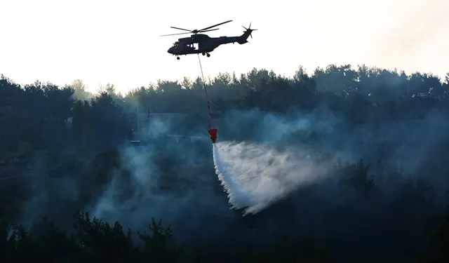 23 saat oldu: Bornova'daki orman yangını kontrol altında