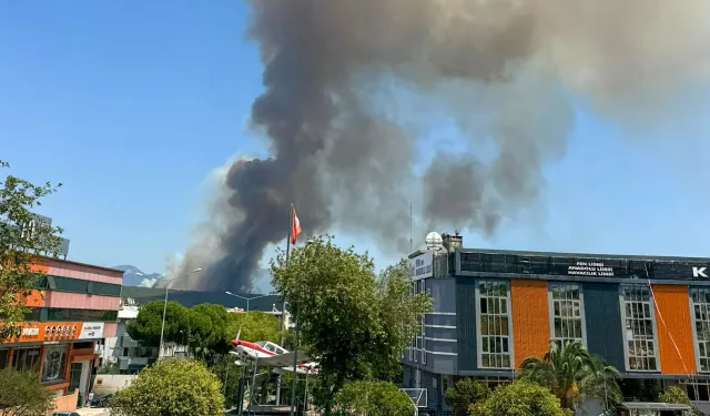 Gaziemir'de ormanlık alanda yangın: Müdahale sürüyor