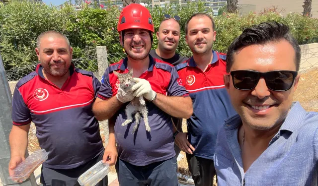 İzmir'de yavru kedi operasyonu: İtfaiye ekipleri yardımına yetişti
