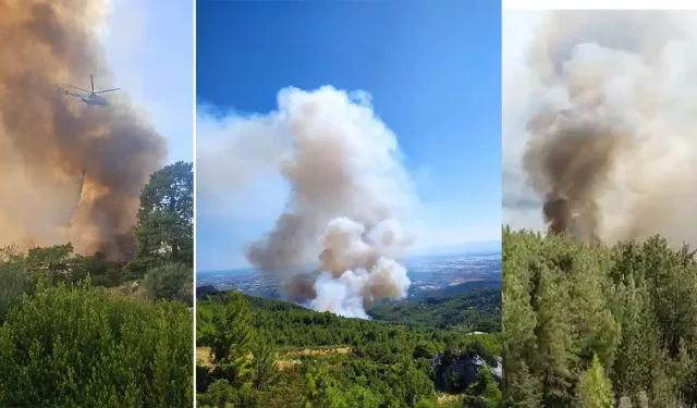 Antalya Serik'te orman yangını