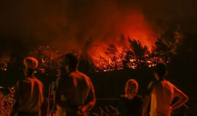 Bu bilgi hayat kurtarabilir: Orman yangını çıktığında ne yapmalıyız?