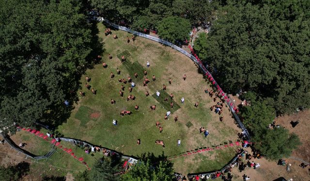 Kadınların hakimiyet kurduğu köyü erkekler mehterle terk etti