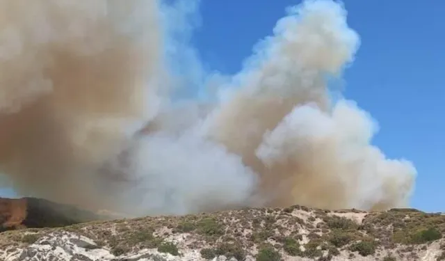İzmir Çeşme'de orman yangını: Müdahale başladı