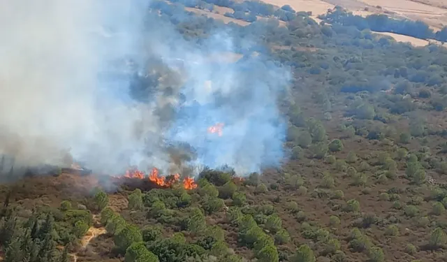 Foça'da otluk alanda yangın: Müdahale sürüyor