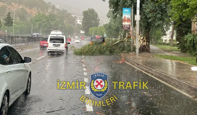 İzmir'de yağış ve fırtına hayatı felç etti: Ağaçlar devrildi ulaşım durdu