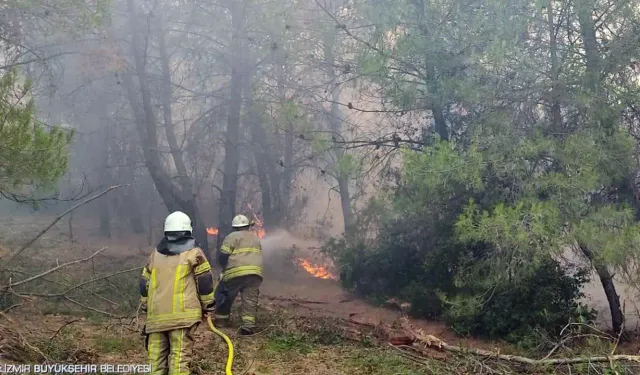 İzmir İtfaiyesi kentin dört bir yanında yangınlarla mücadele ediyor
