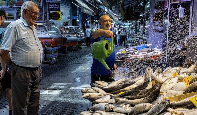 İzmir'de balık satışlarında durgunluk yaşanıyor: Balık var, satış yok