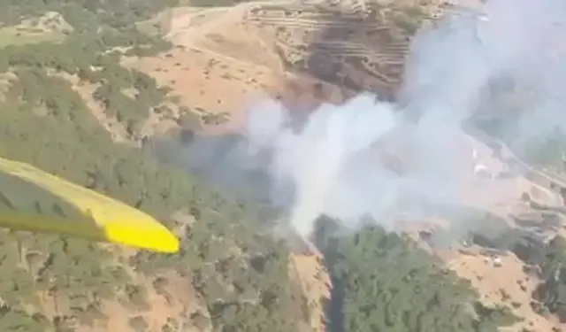 İzmir Karabağlar'da orman yangını