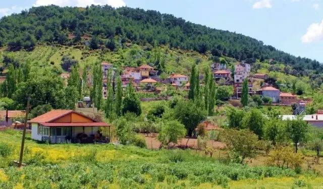 İzmir'in merkezindeki cennet: Bu köyün temiz havası meşhur