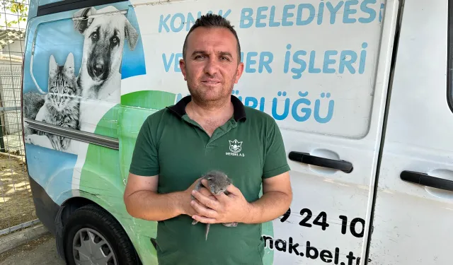 Konak'ta yürek ısıtan hareket: Yavru kedi çöpten kurtarıldı