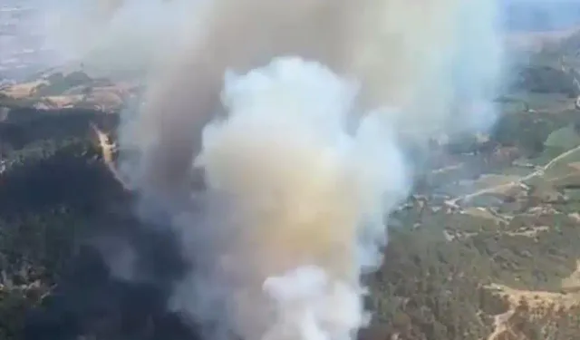 Ödemiş'te orman yangını: Ekipler müdahale ediyor