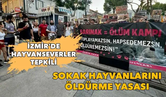 İzmir'de hayvanseverler tepkili: Sokak hayvanlarını öldürme yasası