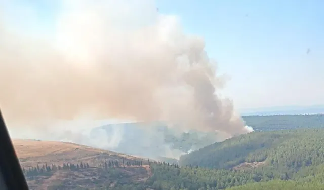 Saatler sürdü: Menderes'teki orman yangını kontrol altında