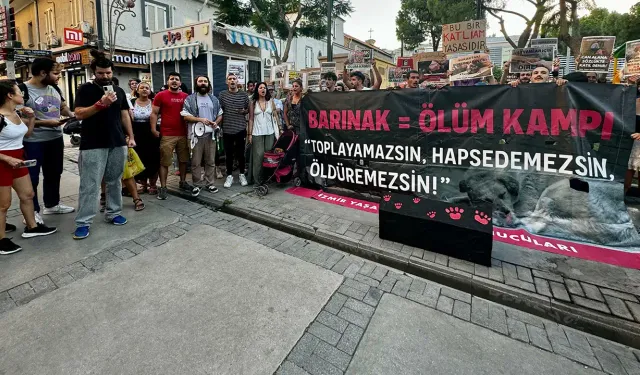 İzmir'de hayvanseverler tepkili: Sokak hayvanlarını öldürme yasası