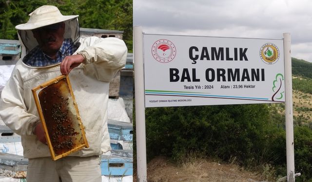 Türkiye’nin ilk milli parkında yeni tesis: Bal üretimini destekleyecek