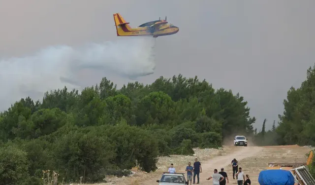 Gaziemir ve Buca arasında orman yangını: Havyanlar tahliye ediliyor, bazı uçuşlar iptal edildi