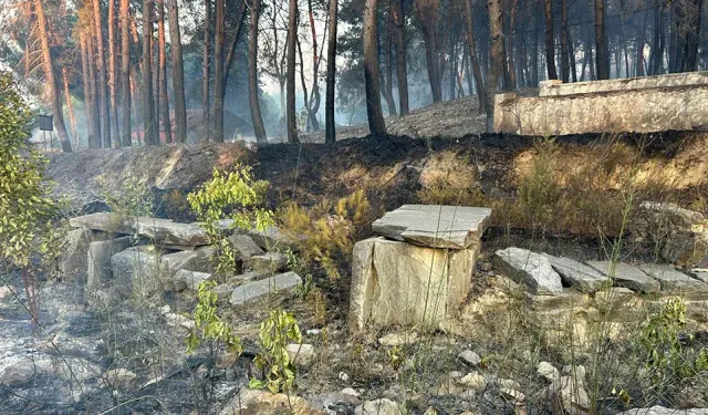 Yangın sonrası Efes Antik Kenti’ndeki tarihi eserler tehlikede