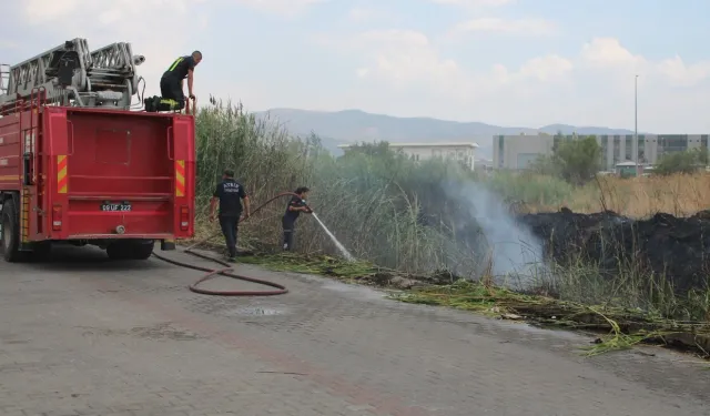 Aydın'da fabrika yangını: İnceleme sürüyor