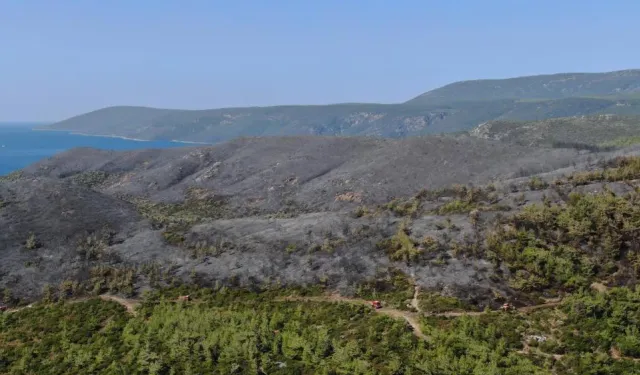 Yangının verdiği hasar: İzmir'in cennet köşesi siyaha büründü