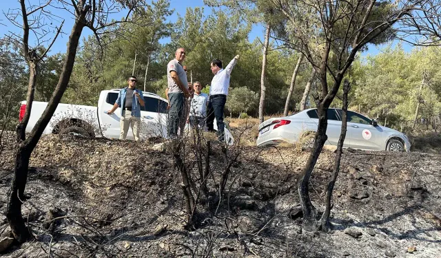 Milas'taki orman yangınında 191 dekar orman ve tarım alanı zarar gördü