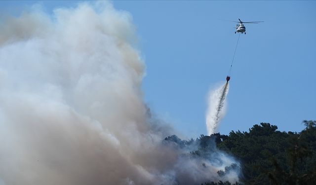 Orman yangını sayılarında artış: Ciğerlerimiz 2 bin 529 kez yandı