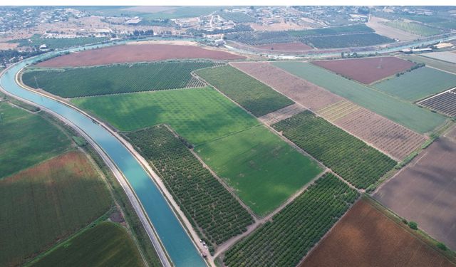 Adana çiftçisine ilginç uyarı: Su yok, ekim yapmayın