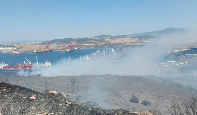 Aliağa'da yangın: Havadan ve karadan müdahale var