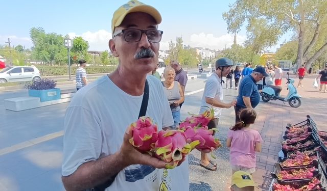 Aracılara kızdı: 2 bin adet Ejder meyvesini bedava dağıttı