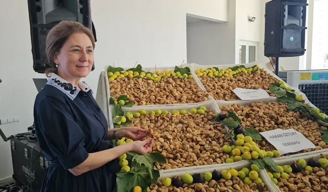 Aydın'da kuru incir bereketi: Nazilli'de sezonun ilk ürünü 600 TL'den satıldı