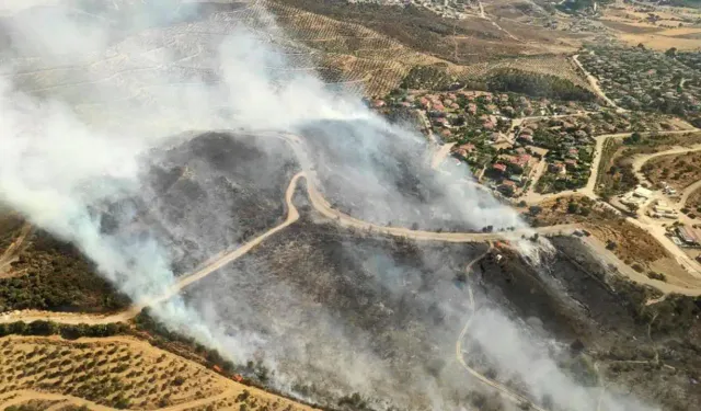 İzmir'in Urla ilçesinde orman yangını