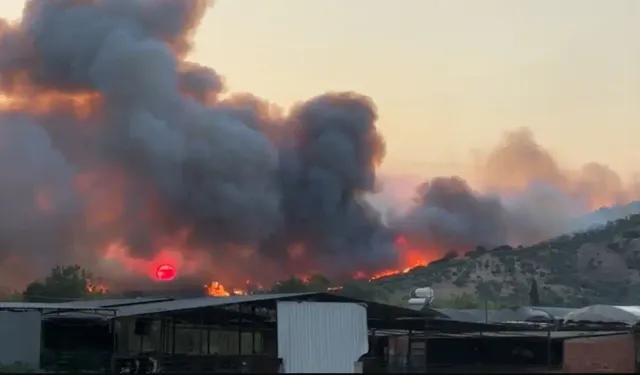 İzmir'in Bayındır ilçesinde yangın yeniden alevlendi