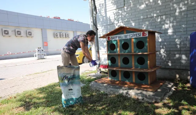 Can dostlara Bayraklı'dan destek: 40 noktaya daha pati evi