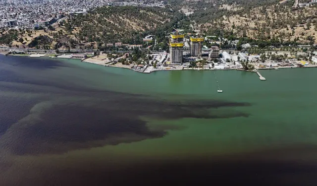 İzmir Büyükşehir açıkladı: Sahildeki balık ölümleri ve kokunun nedeni ne?